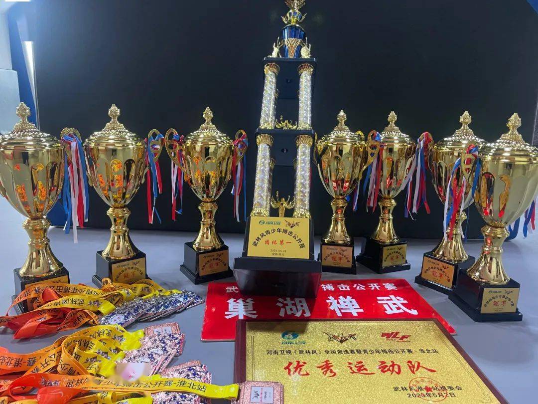 巢湖少年武林风勇夺7冠!_濉溪县_安徽_团体