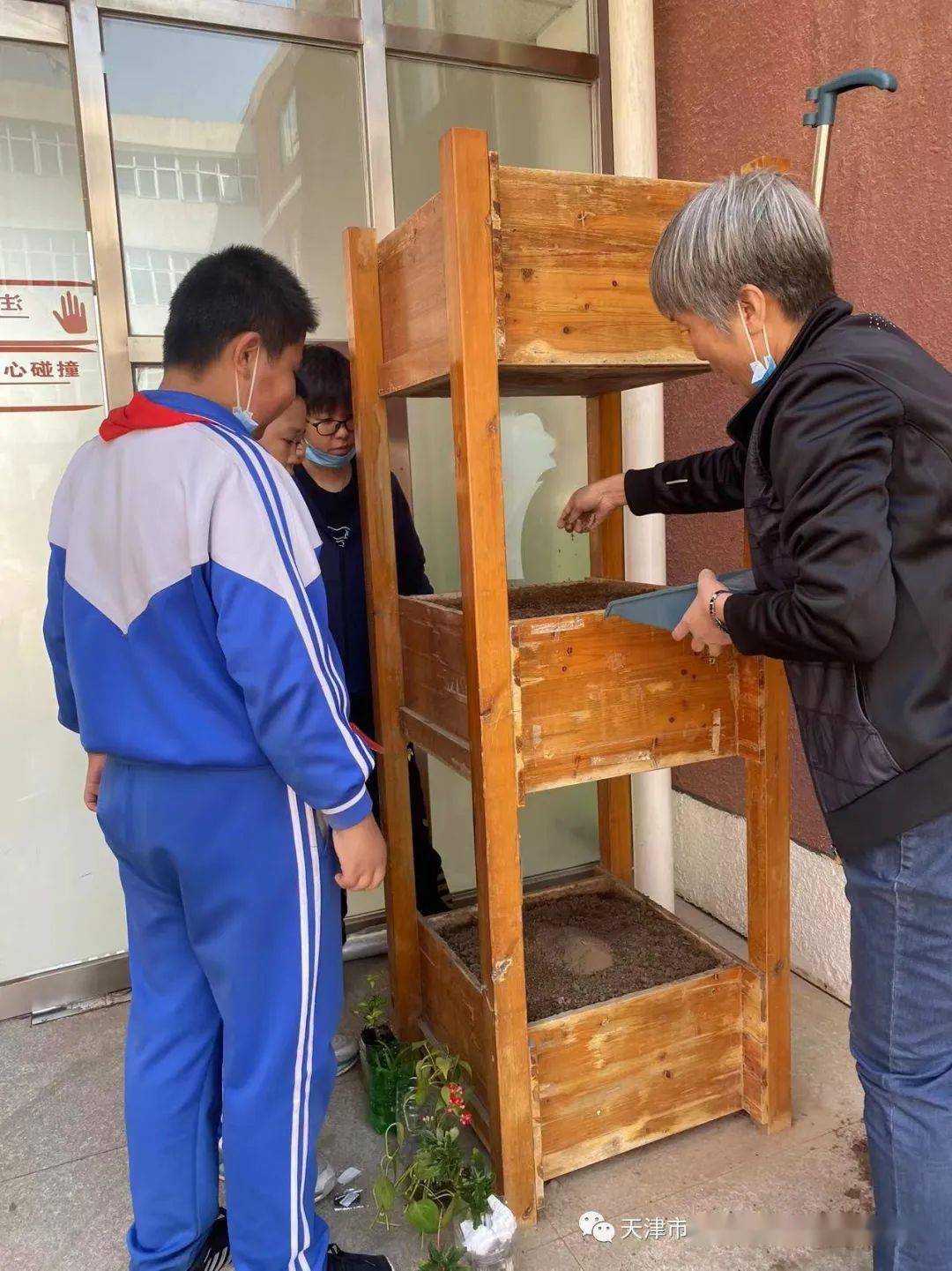 魅力校园:静海区团泊镇团泊小学开展劳动实践主题教育活动_种植_指导