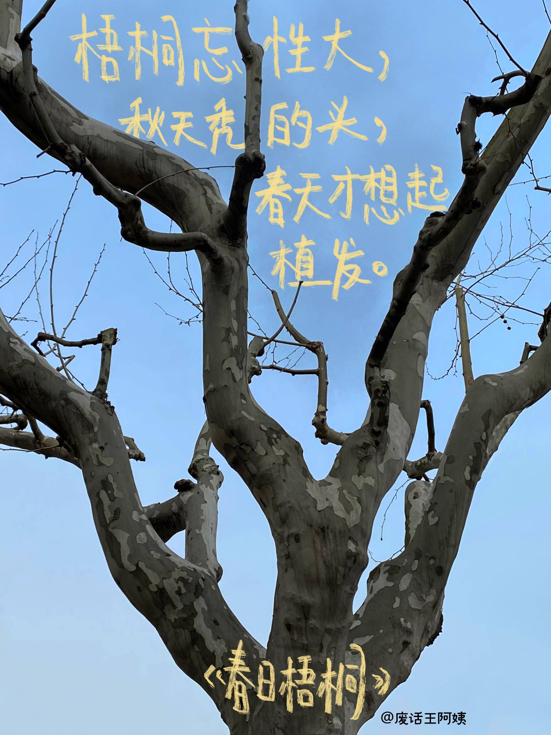“把生活中的废话,统统开成喇叭花!”湖南男大学生的诗治愈了你吗?-搜狐大视野-搜狐新闻
