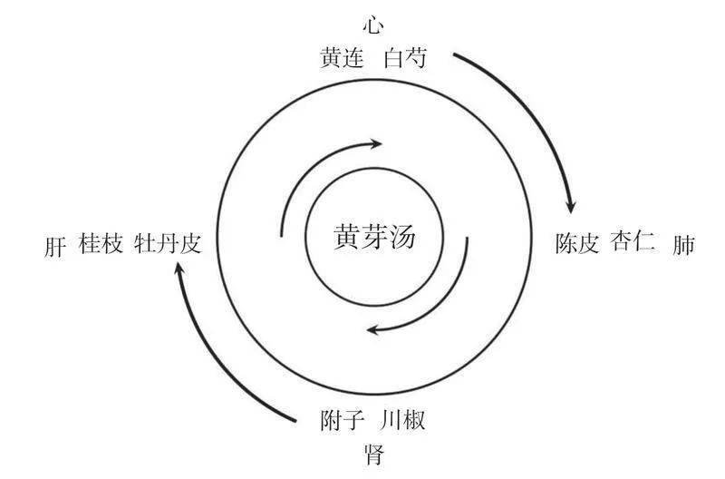 《四圣心源》把它作为第一方_运动_同源_食物