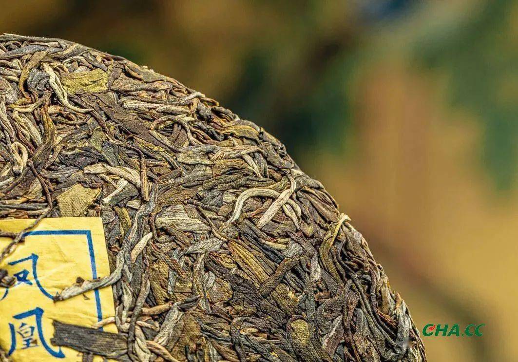 中茶凤凰窝古树茶 | 稀缺古树春茶,限量4000饼_茶树_原料_品质