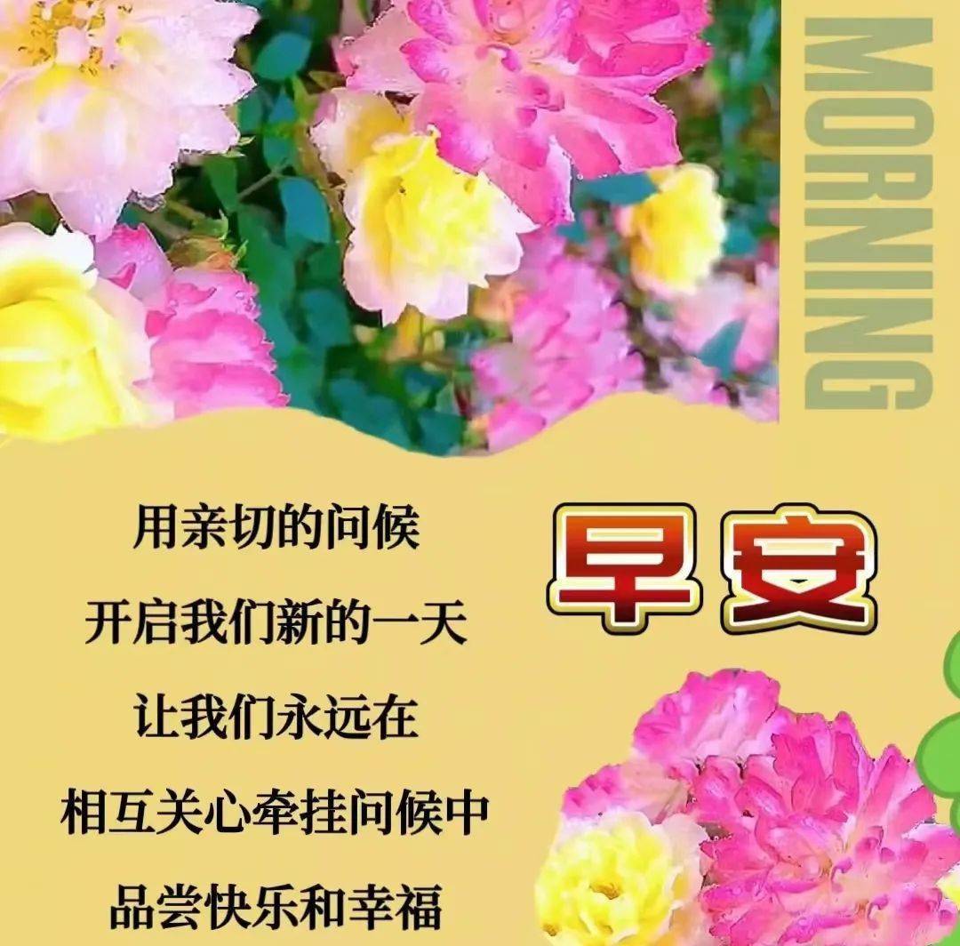 早上好万事如意图片