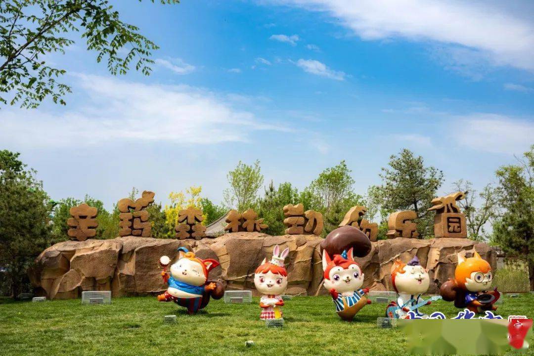 雄安新区辛玛森林动物乐园开园啦!_薛志勇_儿童_园区
