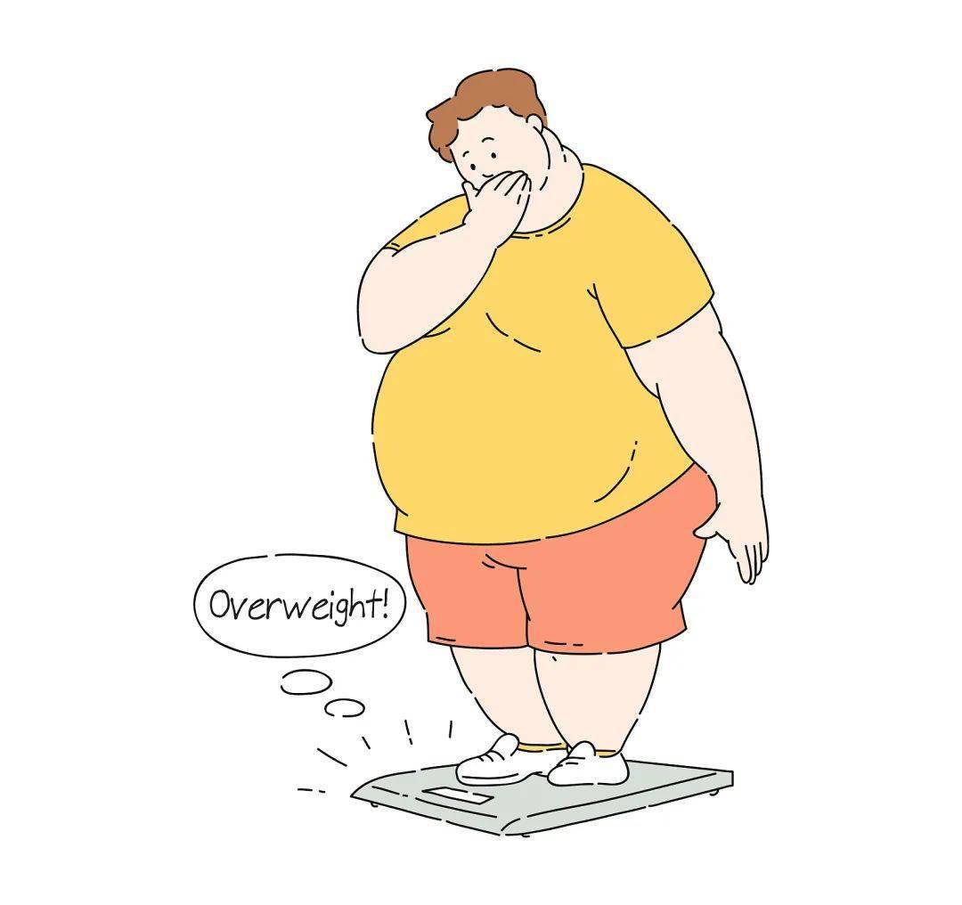 肥胖症图片卡通图片