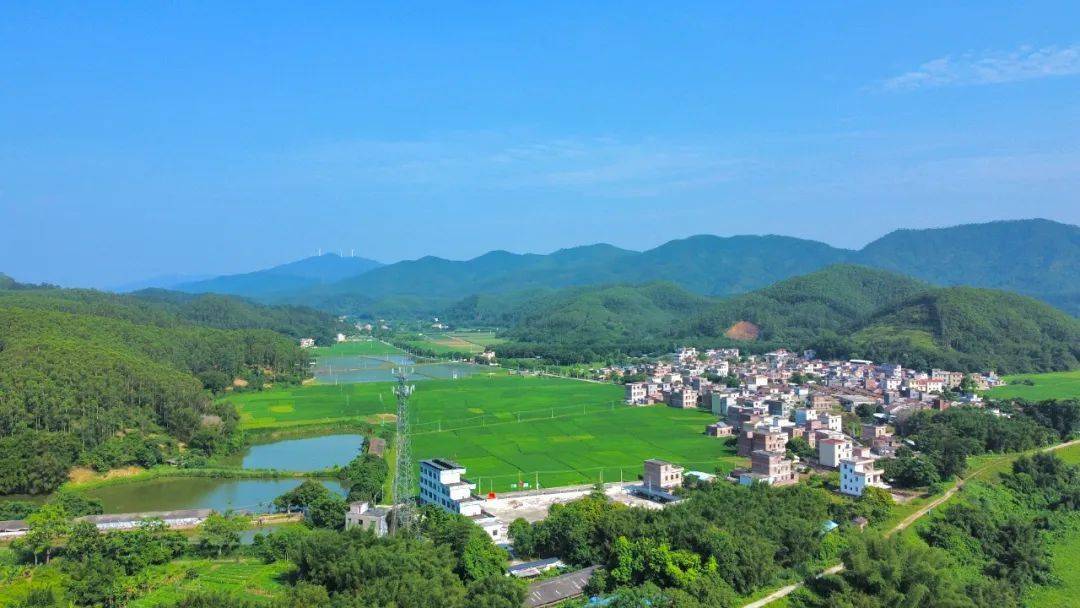 【聚焦"百千万工程"】新兴县车岗镇"土地融发展"频频获点赞,是如何