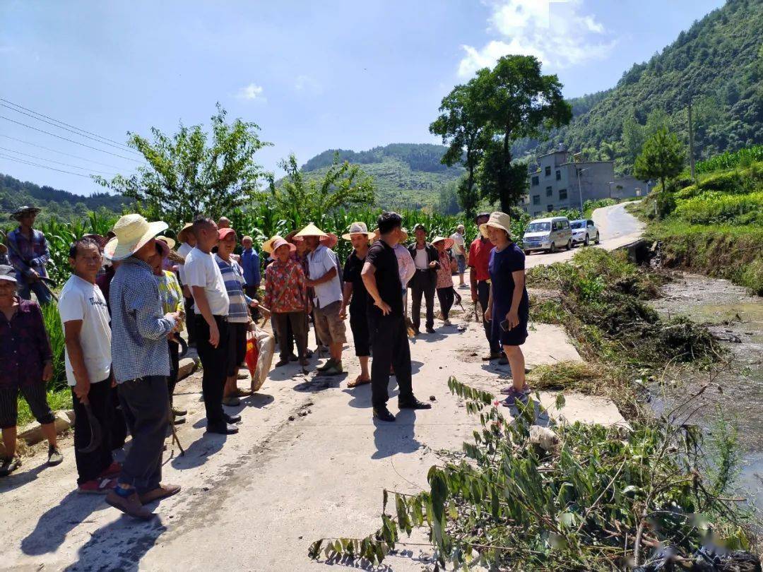 聚焦农村“五治”】龙岗镇：调动群众积极性把农村“五治”工作做在群众心坎上_手机搜狐网