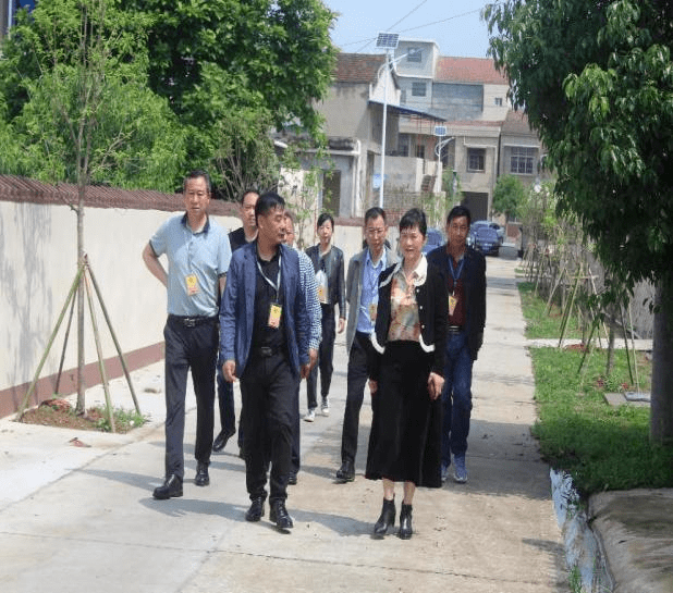 钟祥市长滩镇|代表建言 五民自治