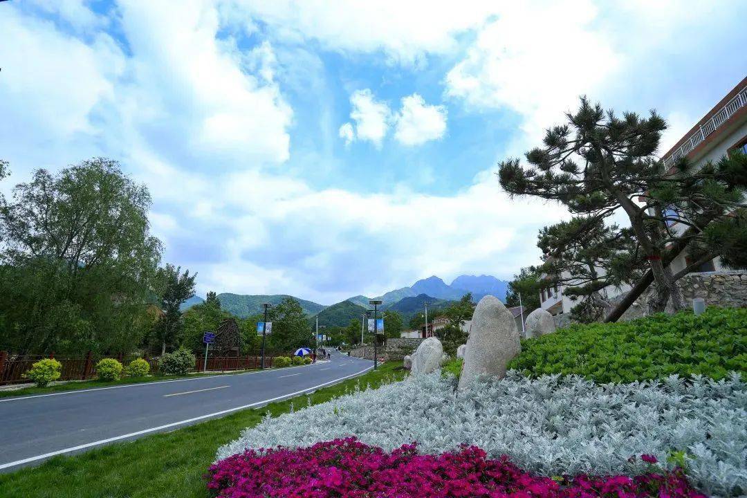 蓝田荞麦岭,花开了,绝美大图欣赏!