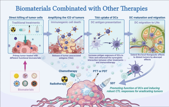 南大牟永斌/南郵滕兆剛as:生物材料增強樹突狀細胞介導免疫治療_腫瘤