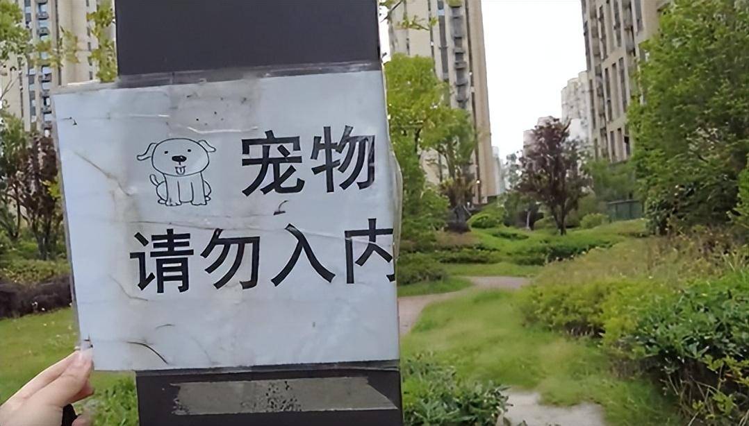 半岛体育上海儿童被打致脑震荡最新后续：遛狗打人者被刑拘！检察机关已介入！(图5)