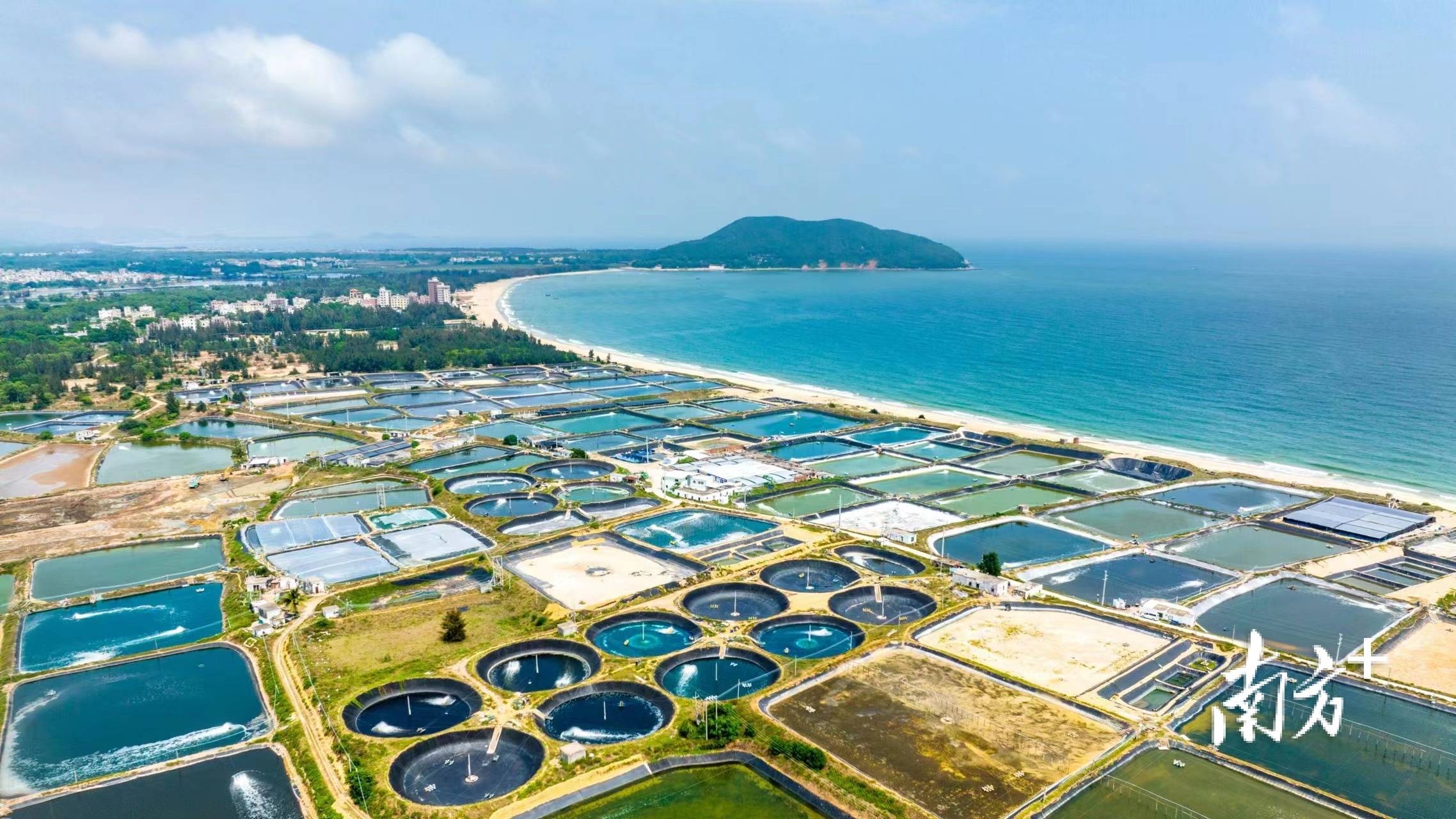 南麂岛海鲜:鲜美滋味的海洋之旅