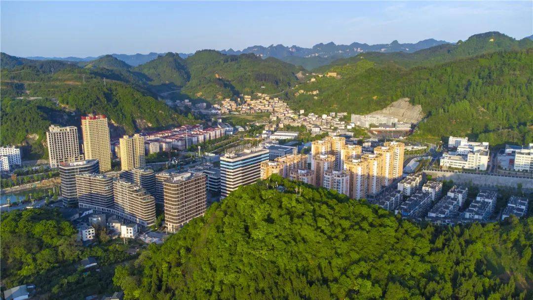 (作品展)_彭俊_杨雄_张金万