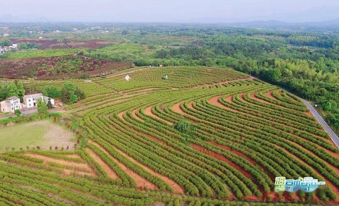 交通影像丨汨罗:穿行青山碧水间