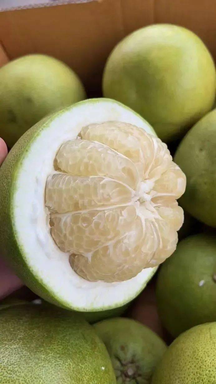 【泰国白蜜柚】99元9-10斤!