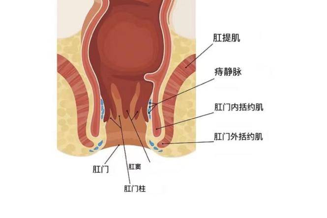 肛门手术消毒的顺序图图片