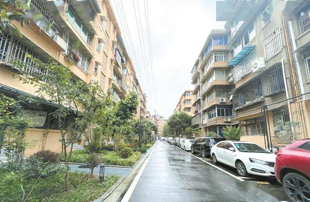 小区改掉老毛病 居民点赞新变化_改造_亚光_院落