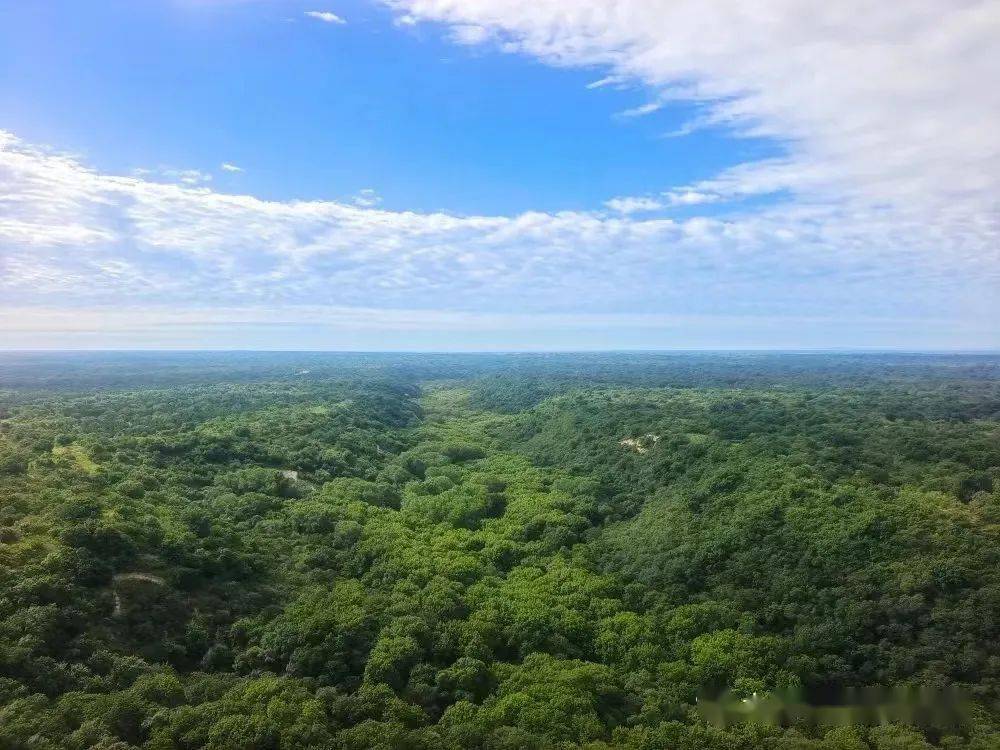 5月19日中国旅游日即将来临,为此大青沟景区将在5月19日-20日针对全国