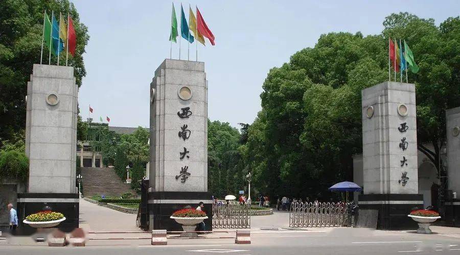 【有公费师范】西南大学2022年美术设计类专业录取分数线_统考_成绩