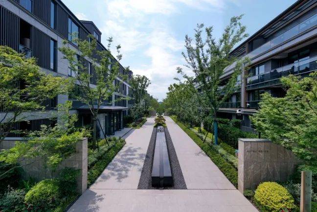 绿城_澄庐_晓月