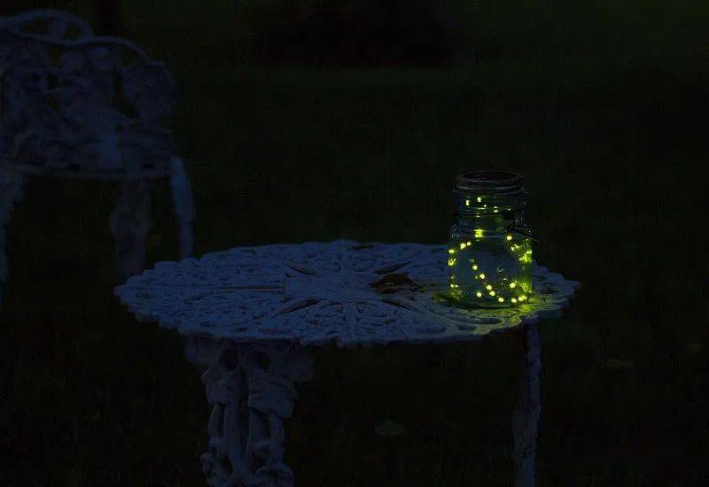 繁星| 萤火虫做成银簪子_母亲_灯笼_玻璃