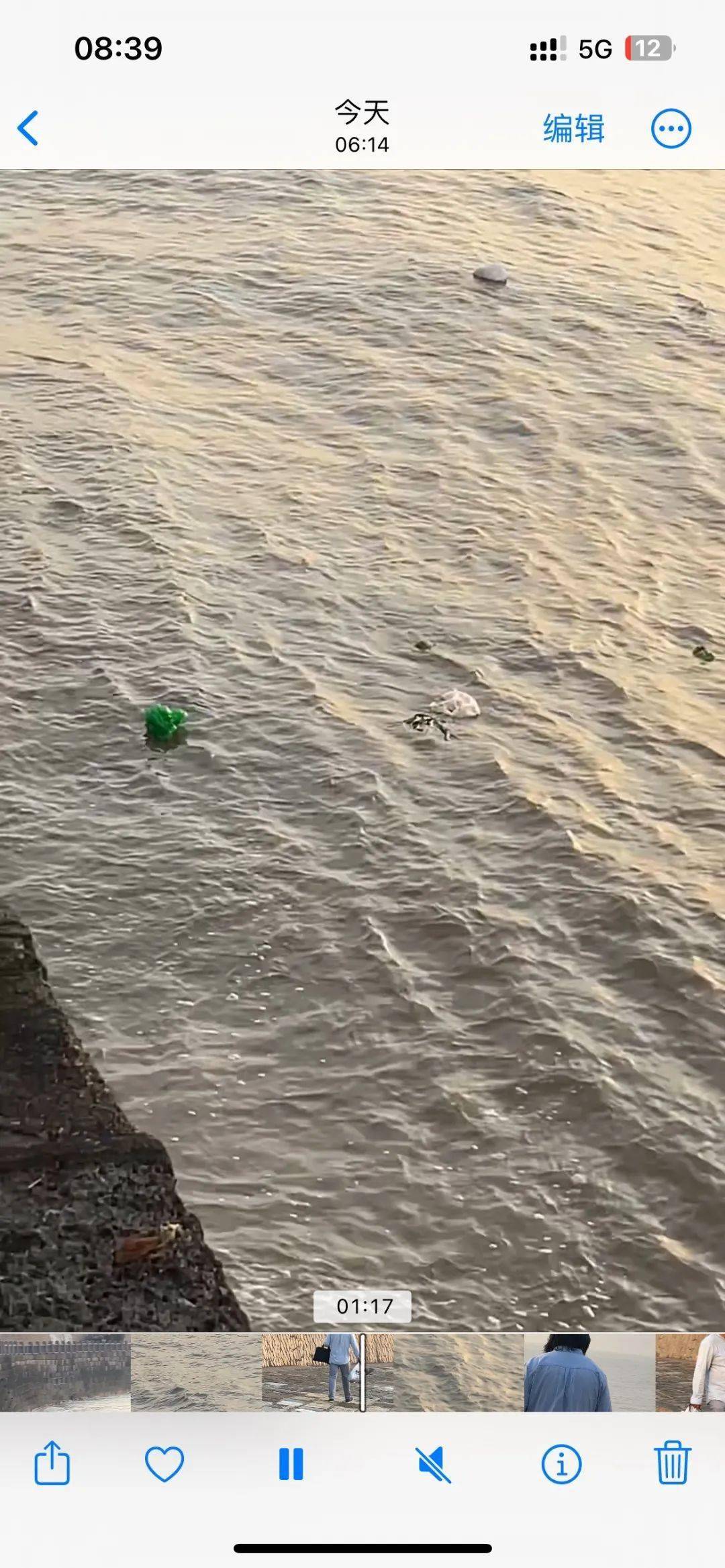 有网友在海盐观海园遇到一个"怪人"!