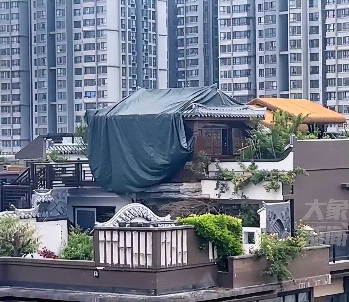 重庆一小区业主私自在楼顶建“园林”， 街道办回应：将通知业主整改，下一步会立案查处_建筑_物业_部分