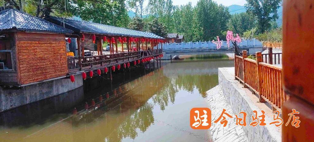 农家开云体育 开云官网乐“拔地而起” 市民乐享“土里土气”(图5)