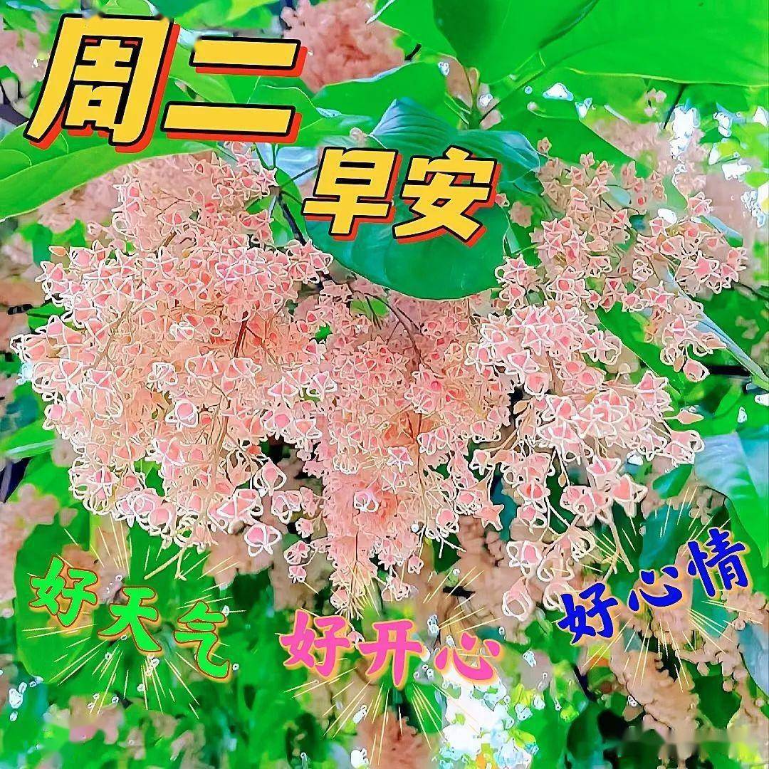 5月16日周二新版微信早安祝福语 好看早上好祝福动态表情图片带字