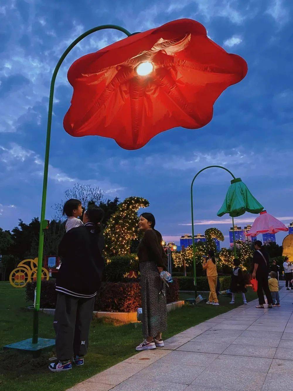 牵牛花_市民_花灯