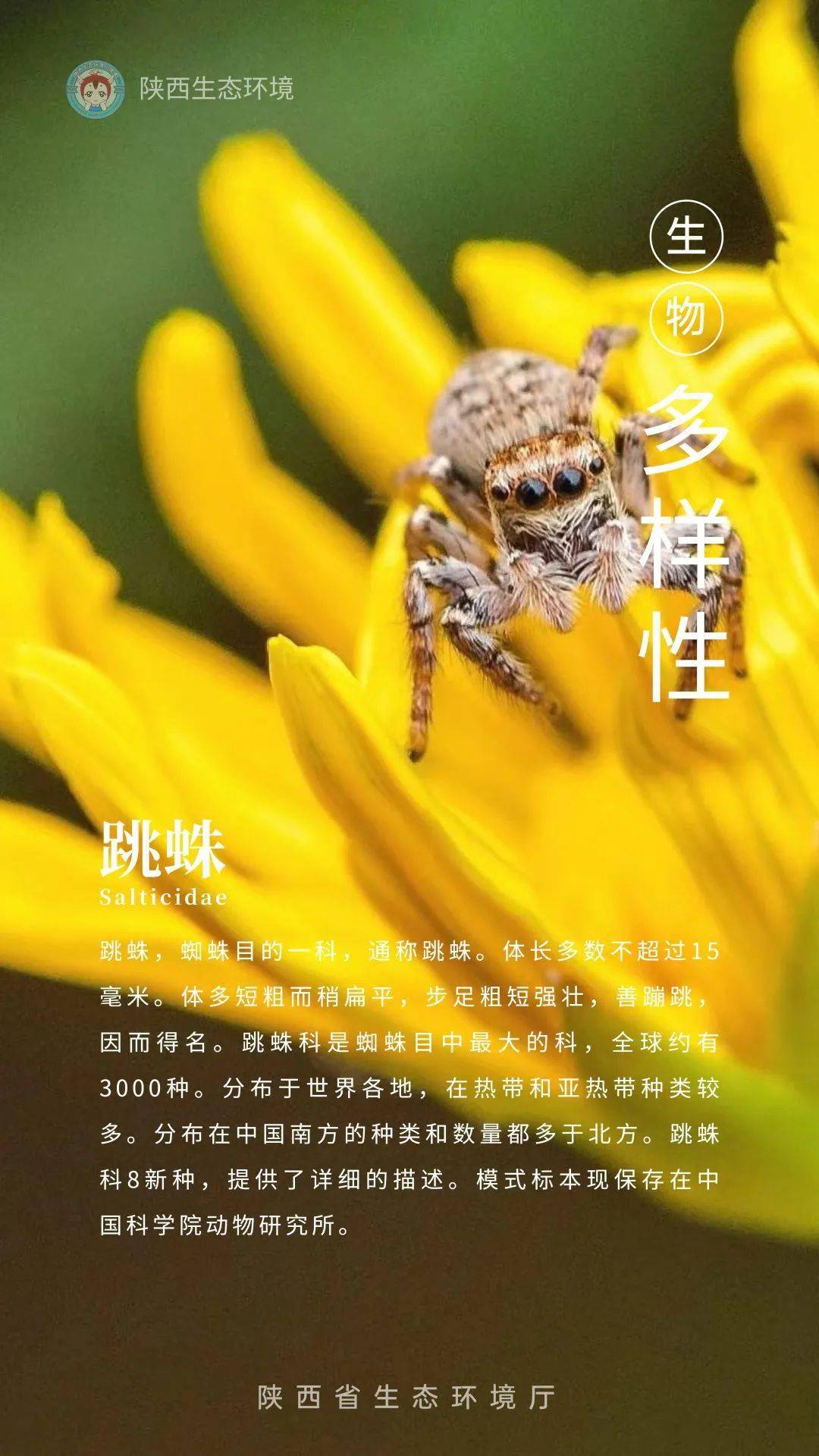 保护生物多样性系列海报(一)丨走向万物和谐_happy_来源_所有人