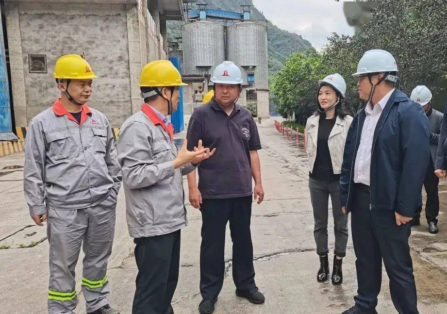 陈海翔到绥江调研耕地保护,产业发展,社会治理等工作_基层