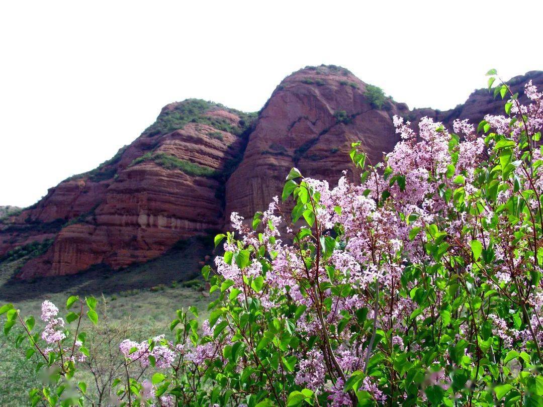 钓大鱼."中国旅游日"固原活动来啦_西吉火石寨_文化_景区