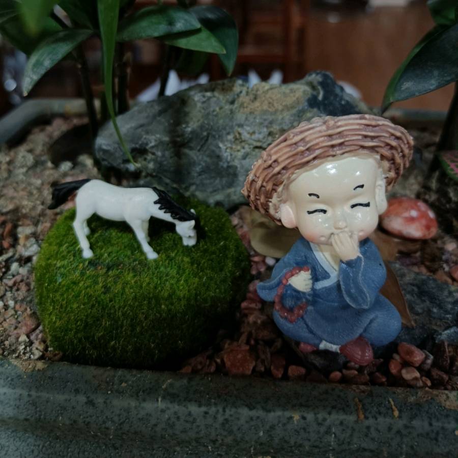 女演员自曝日薪5000元，称自己现已退圈_崔菁格_收入_行业