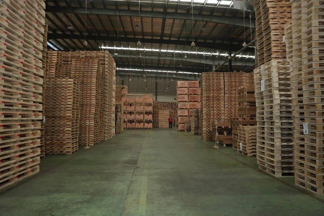 海鸥计划 | 走进上海新通联包装股份有限公司_搜狐汽车_搜狐网