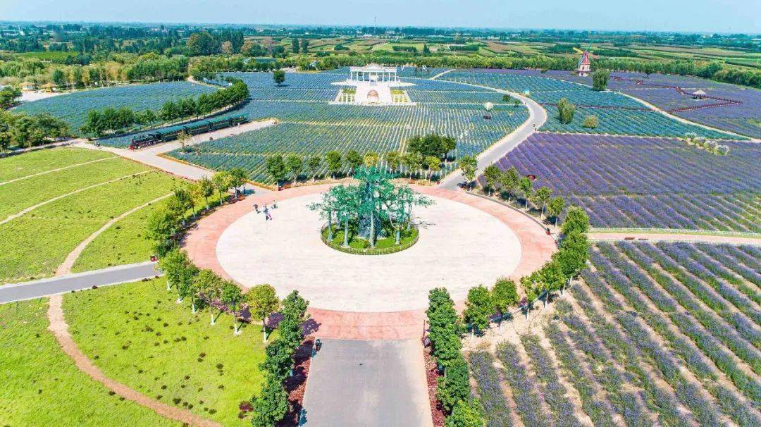 安国现代中药农业园区药博园.