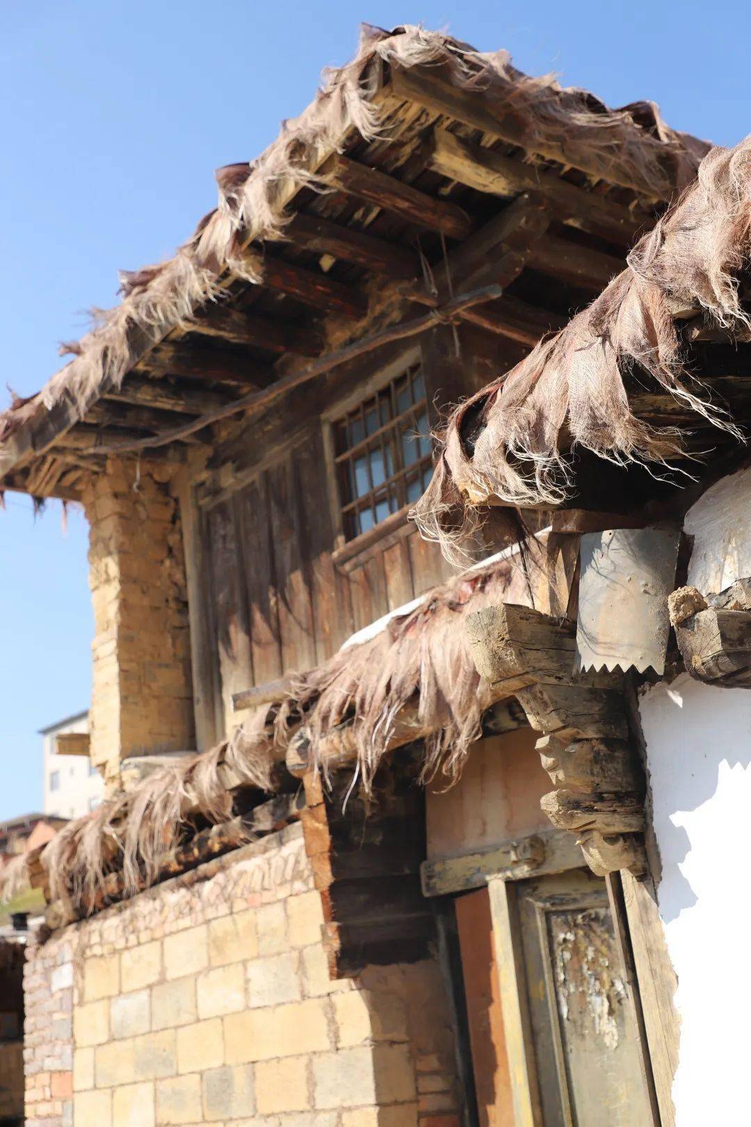 活动_石头_许玲静