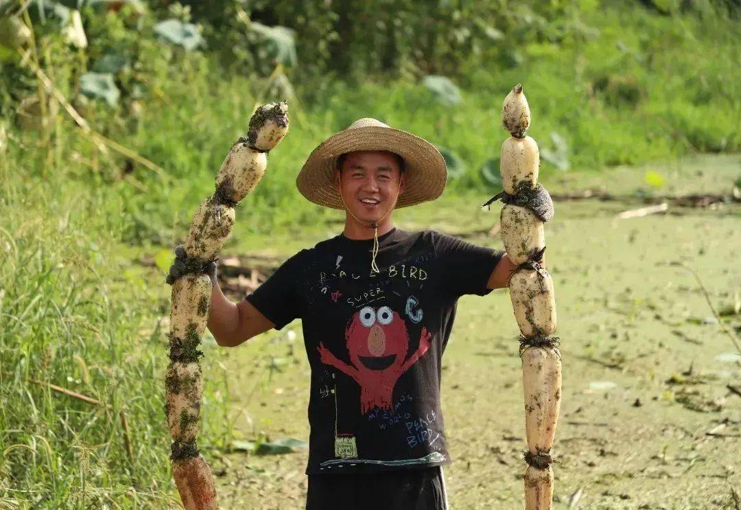 今年是吴雷的本命年,这个"80后"的大男孩从小跟着种莲藕的父亲在池塘