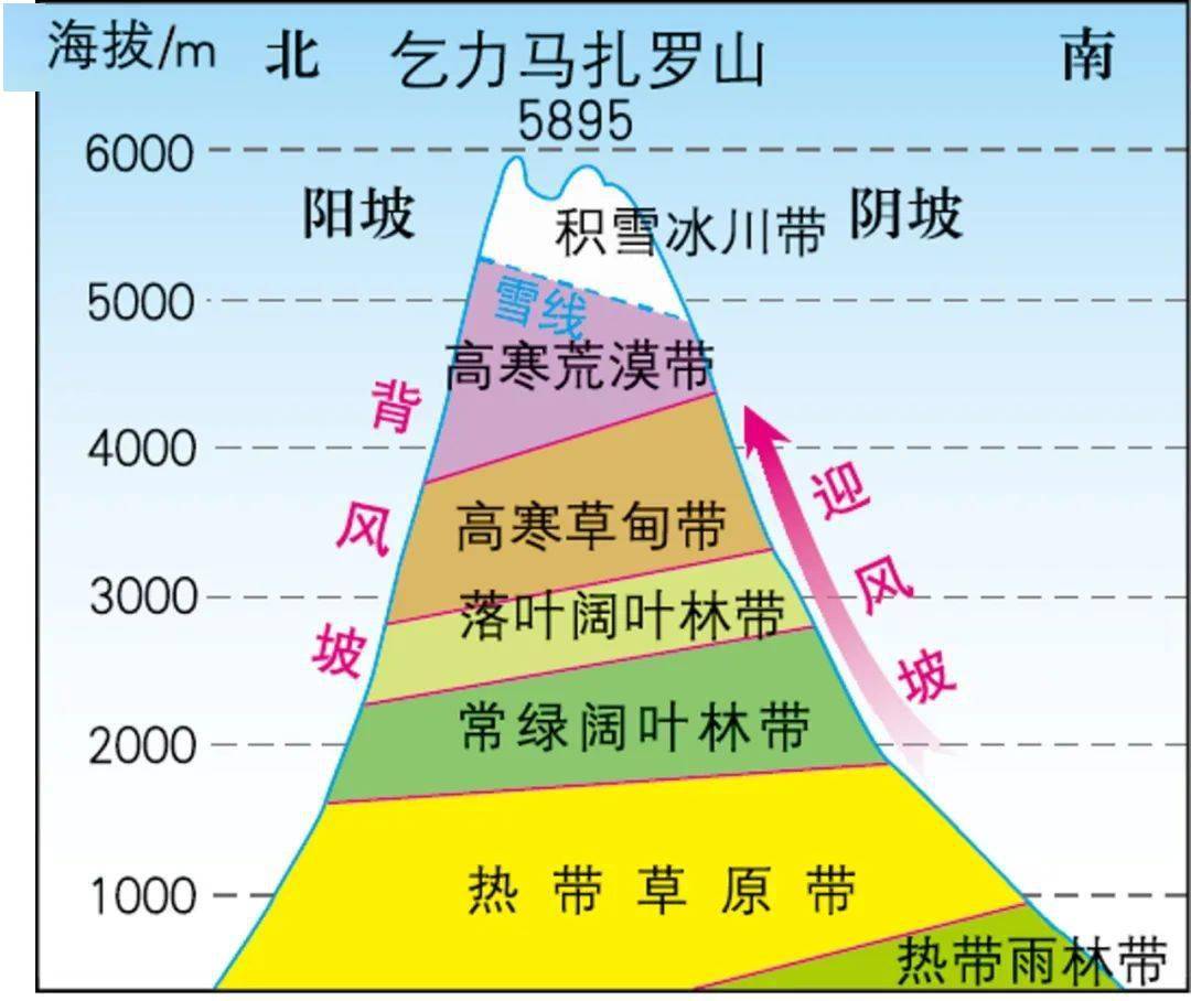 植被带分布图简图图片