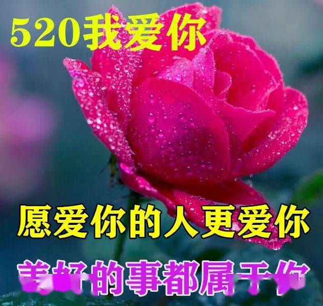 情人节早上好图片2021图片