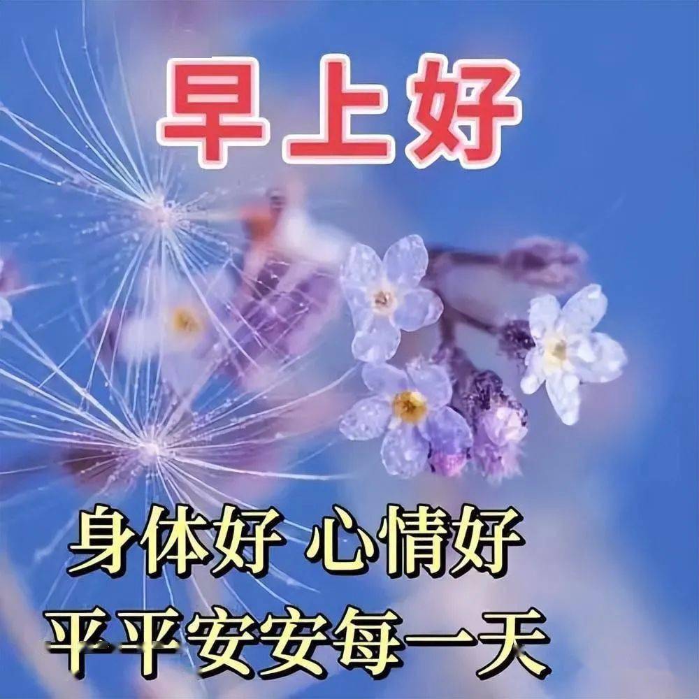 今天最新早上好问候语句子