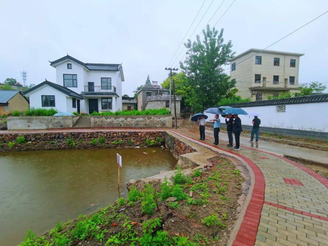 走进建设中的省级美丽乡村:汤沟镇先进村_枞阳_产业_许耀明