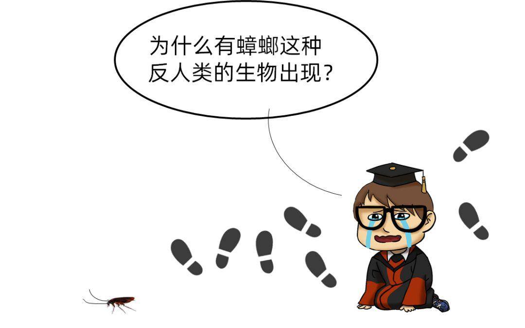 九成人不知道蟑螂的"克星"是啥,教你"简单一招",蟑螂全"消失"_人类