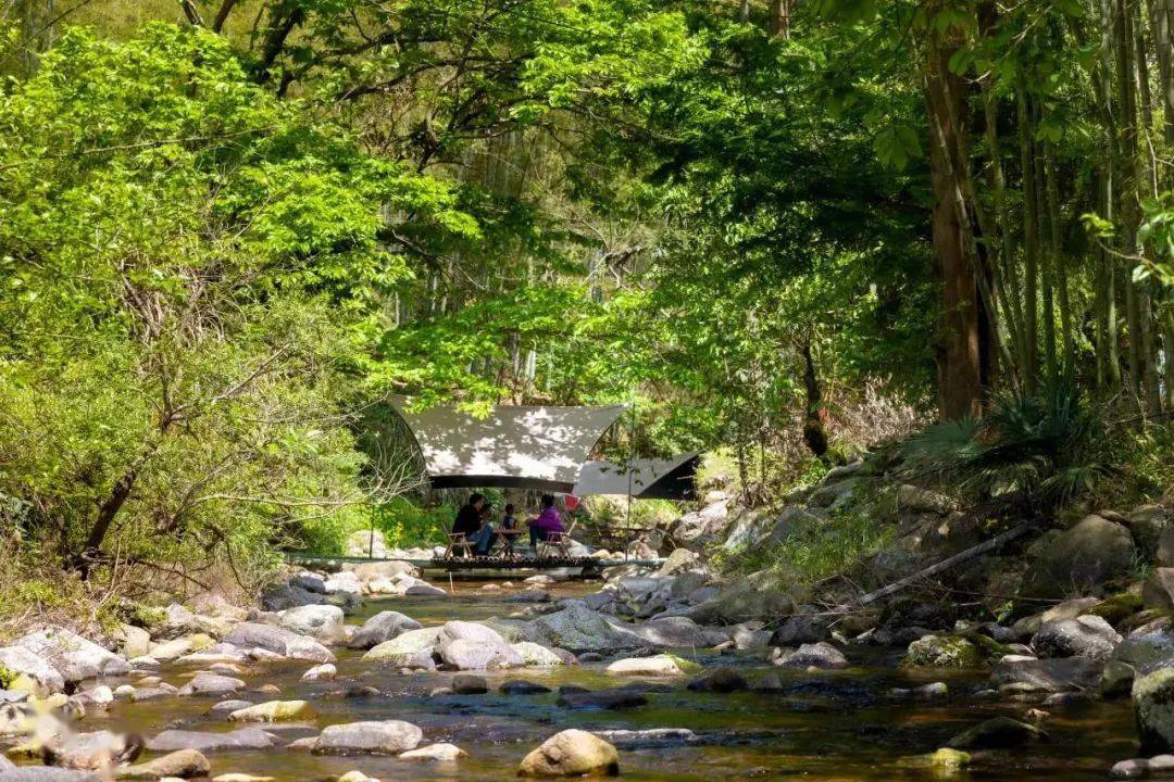网红上河村,夏明村汽车露营基地,湃桥村亲子乐园……快来打卡诗路旅游