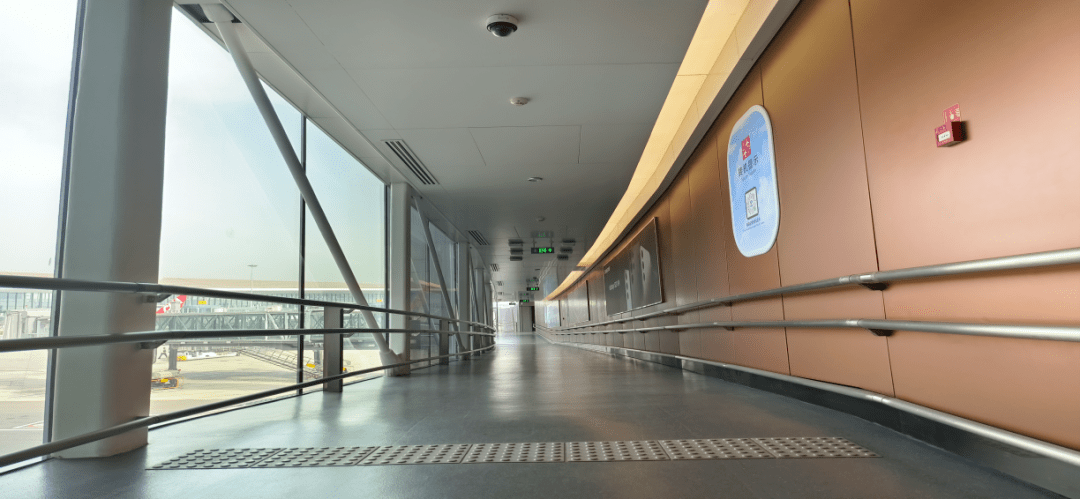 全国助残日 | 大兴机场全程无障碍乘机指南_旅客_爱心_服务体系