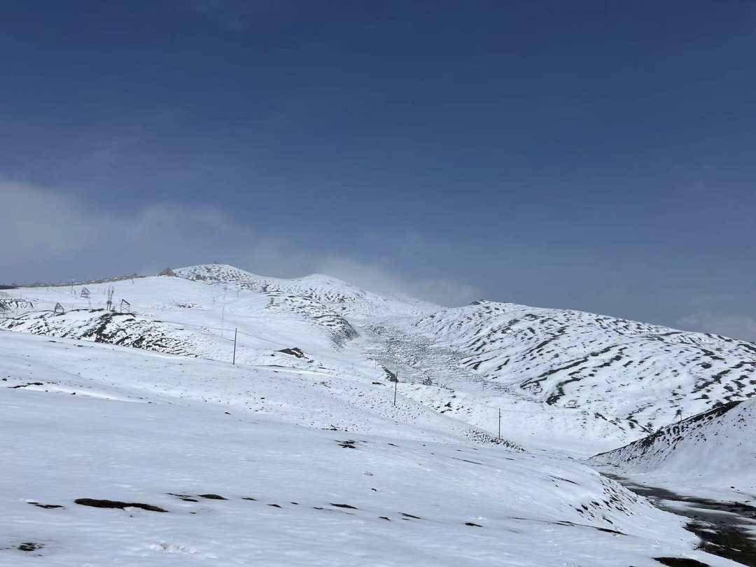 高原五月骤降暴雪,西宁郊外拉脊山雪景,美不胜收!_山口_海拔_贵德县