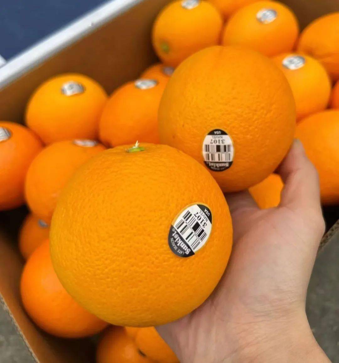 【美国sunkist新奇士3107橙】精选大果不是所有橙子都能贴上黑标!