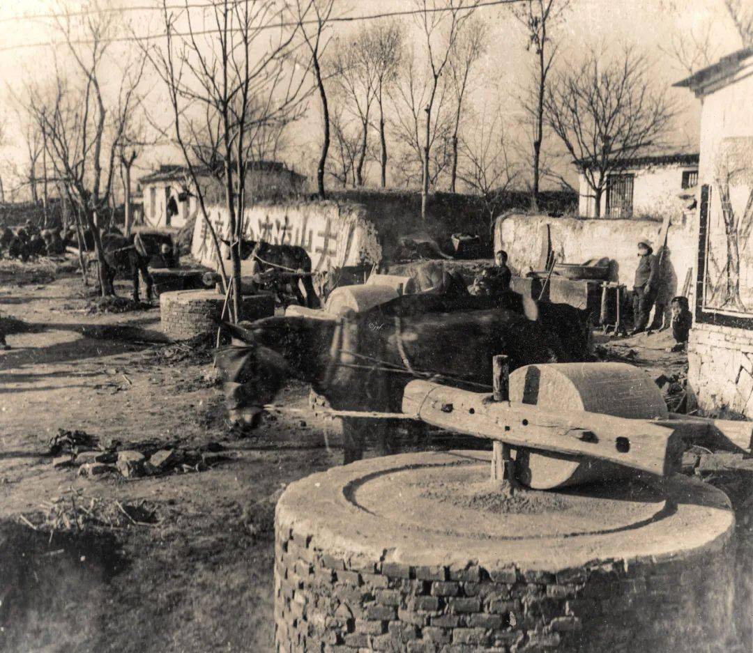 1958:徐水新民居建筑工程_河北_保定_共产主义