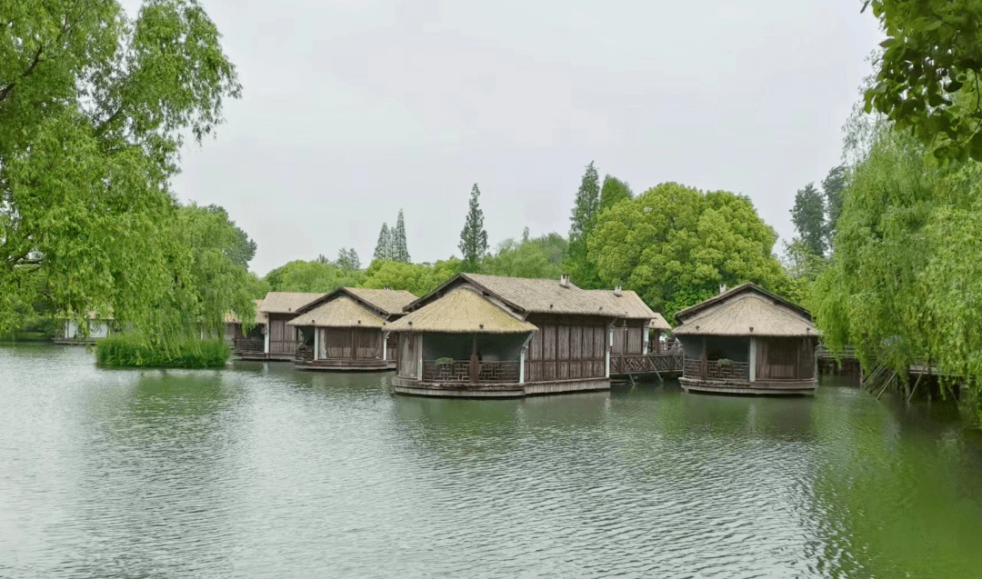 你了解“生如夏花”吗