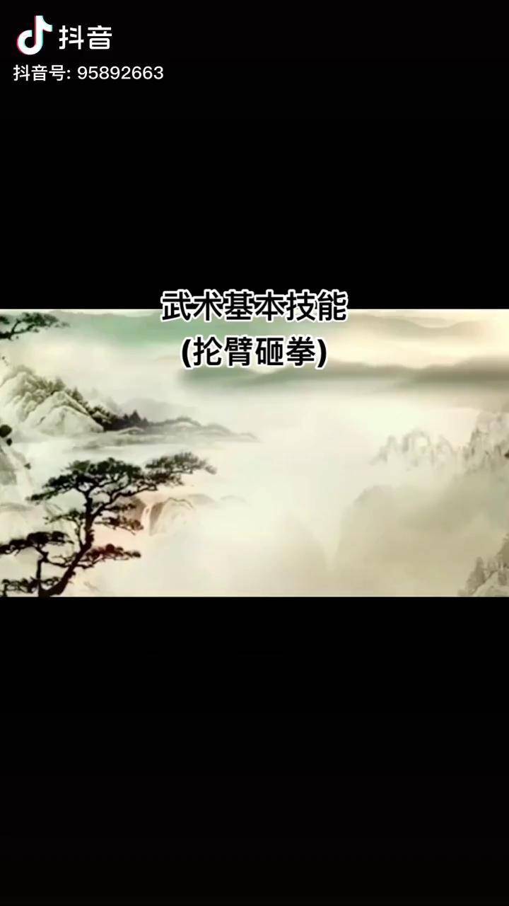 武术 粉丝一千万 少儿武术 基本技能抡臂砸拳