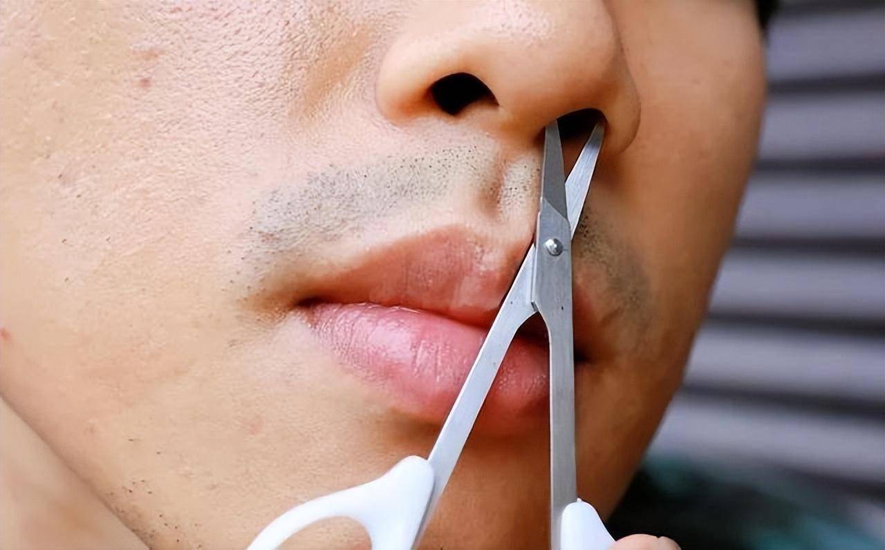 鼻毛总"窜"出来的男人,暗示了什么?鼻毛为什么会变白?_修剪_因素_毛发